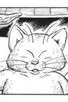 Lançamento: Dragon Ball 14 e 15