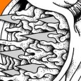 A revista foi convidada especial da 19ª Feira Laica onde teve direito a uma mostra e lançamento português do último número (o #5) dedicado ao “som”. Neste número encontram entre vários autores da “nova bd de autor brasileira” dois autores portugueses e associados à CCC: Marcos Farrajota (com uma bd) e Manuel Pereira (colagens).
A passagem [...]