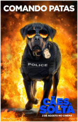 Cães à Solta (2018) Cães à Solta (2018)