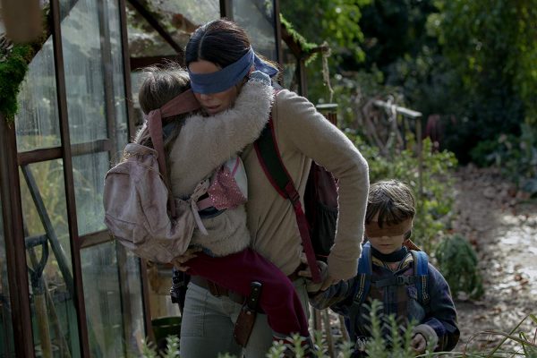 BirdBox_01