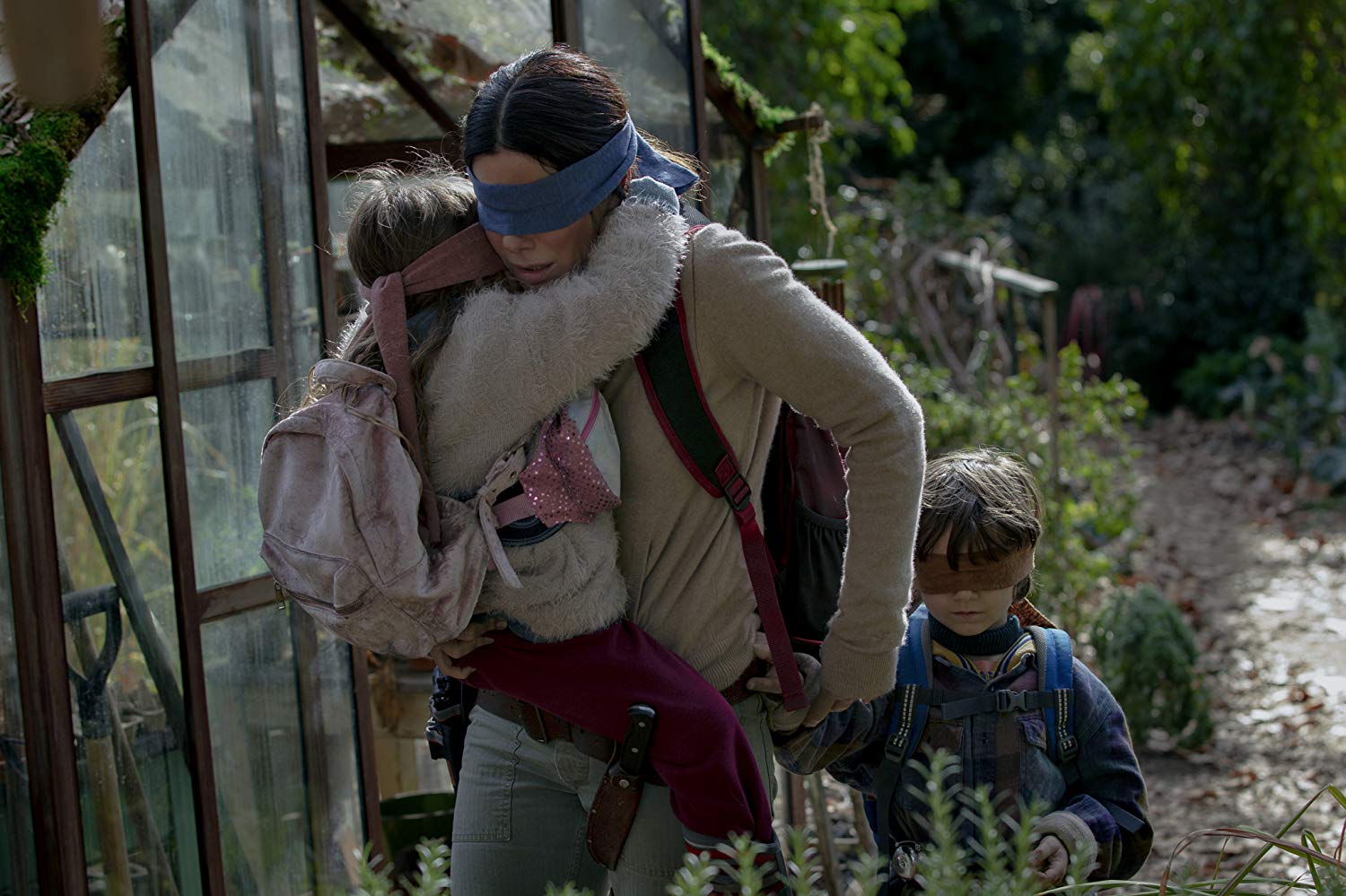 BirdBox_01