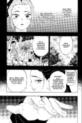 Demon Slayer 10