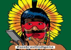 O BRASIL REDESENHADO - MIGUEL PAIVA