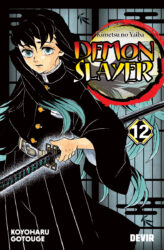 Demon Slayer Vol. 12