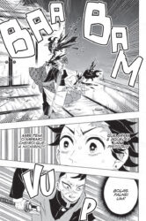 Demon Slayer Vol. 13
