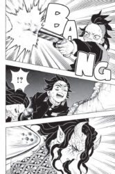 Demon Slayer Vol. 13