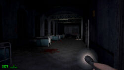 Dementium: The Ward