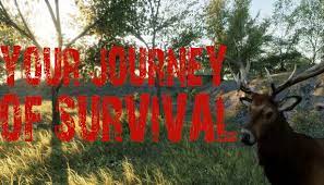 Your Journey of Survival