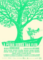 A Pedra Sonha Dar Flor