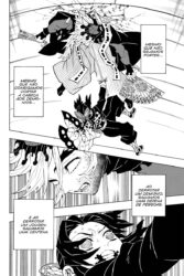 Demon Slayer 17