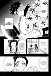 Demon Slayer 17