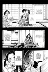 Demon Slayer 17