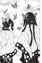Demon Slayer 17