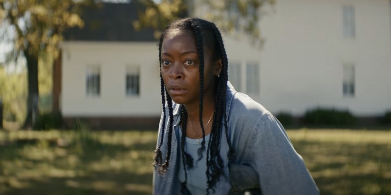 The Woman in the Yard