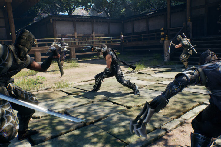 Ninja Gaiden 2 Black