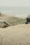 (L-R) Grogu and Mandalorian (Pedro Pascal) in Lucasfilm’s THE MANDALORIAN & GROGU. Photo courtesy of Lucasfilm. © 2025 Lucasfilm Ltd™. All Rights Reserved.