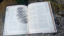 The Lord of the Rings - Keepers of the Elven-rings