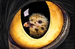 História de Uma Gaivota e do Gato Que a Ensinou a Voar