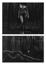 Crónicas de Pesadelo