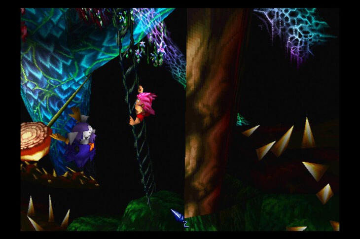 Tombi! 2: The Evil Swine Return Special Edition