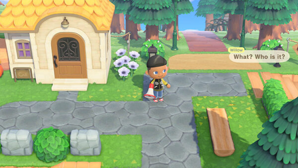 Animal Crossing: New Horizons Nintendo Switch 2 Edition