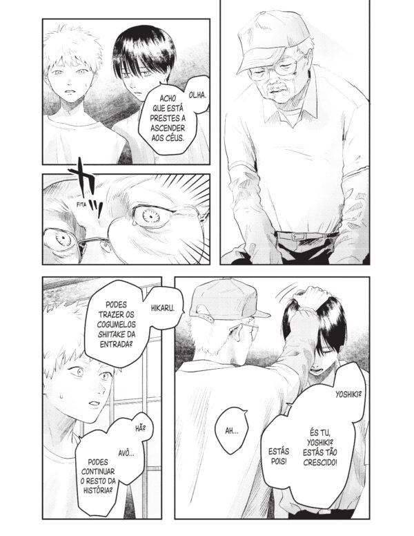 O Verão em que Hikaru Morreu 4