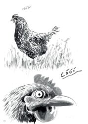 Cheap Nature: Episódios de Renúncia e Parcimóni