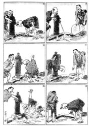 Ansorojimanga