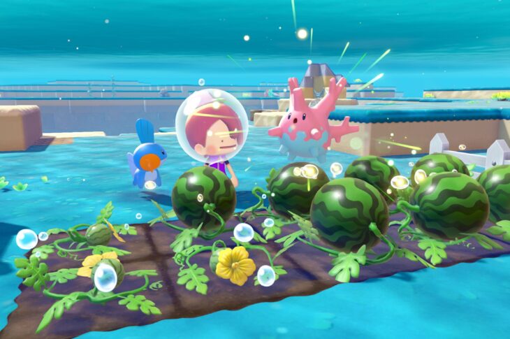 Pokémon Pokopia: Bubbly Basin