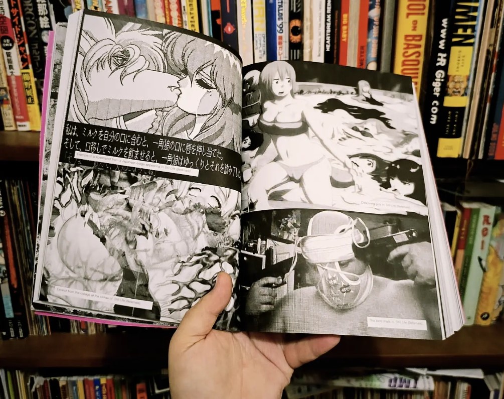 BFKA CUTENCYCLOPEDIA: An Essay Collection On Kawaii And Its Adjacencies, de Ana Matilde Sousa e Hetamoé